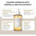 SKIN1004 Madagascar Centella Asiatica Ampoule Facial Serum 1.01 fl.oz(30ml) | 100% Centella Asiatica Extract for Soothing Sensitive and Acne-prone Skin (Ampoule 100ml)