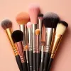 Brush & Tools