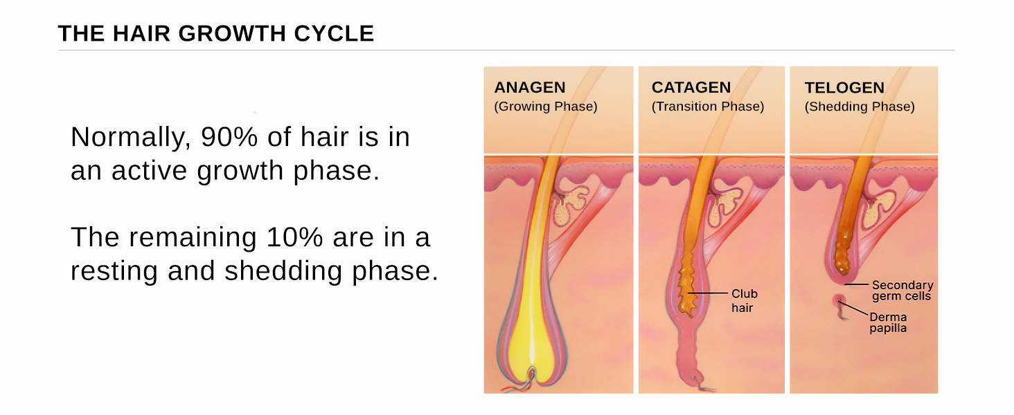 Bare-Anatomy-Advanced-Hair-Growth-Serum-3-Redensyl-4-Anagain