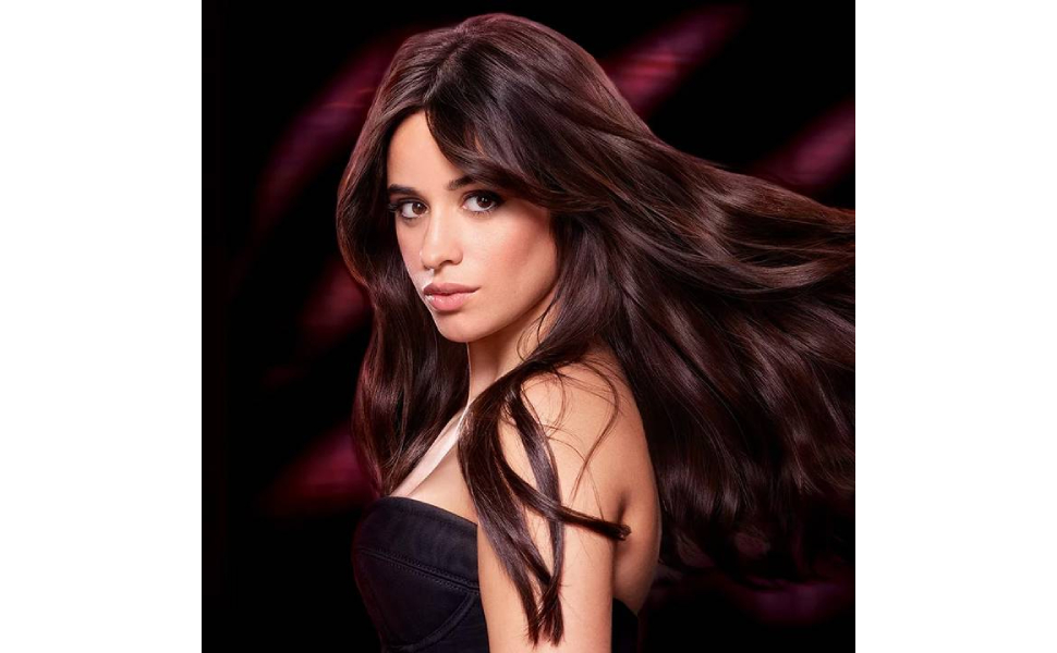LOreal-Paris-Elvive-Dream-Long-Straight-Frizz-Killer-Hair-Oi