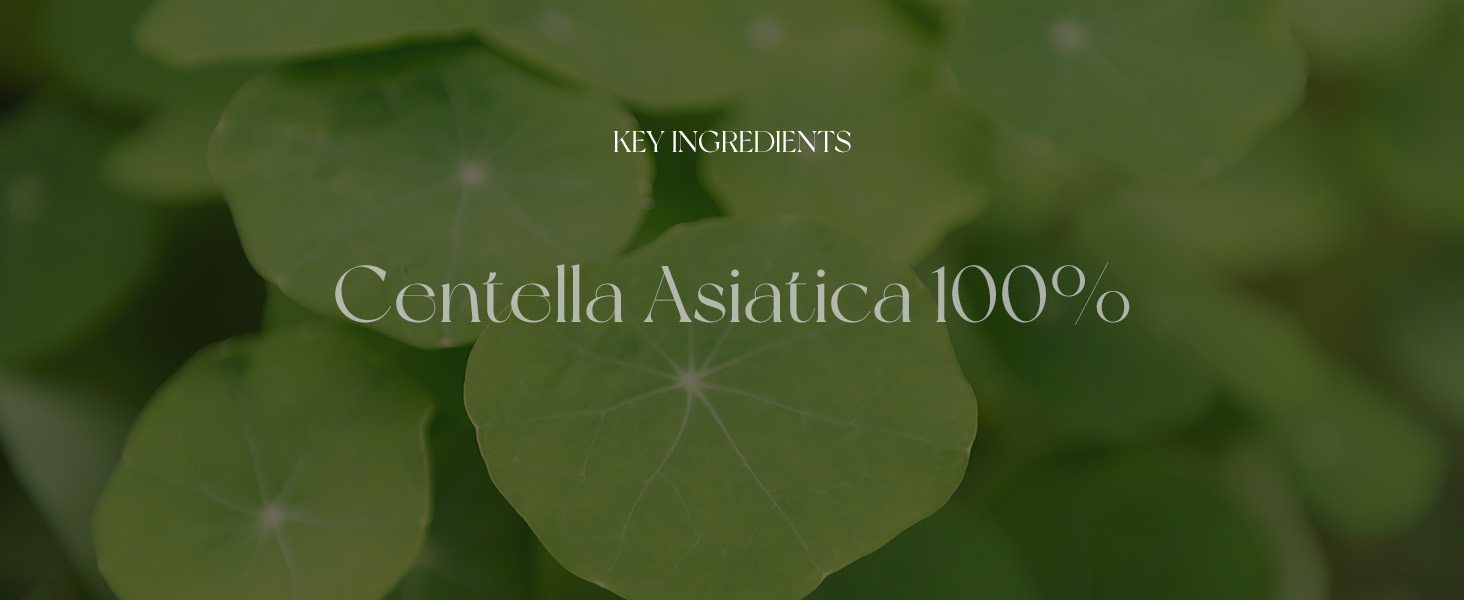 SKIN1004-Madagascar-Centella-Asiatica-Ampoule-Facial-Serum-1